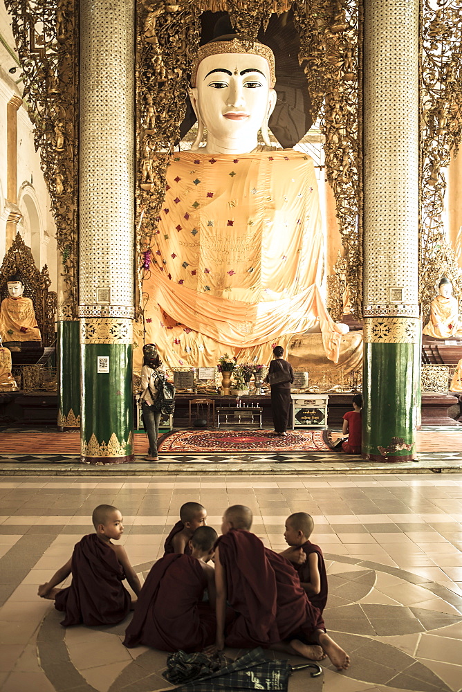 Novice monks who have just performed Shin Pyu at Shewdagon Paya, Yangon (Rangoon), Myanmar (Burma), Asia