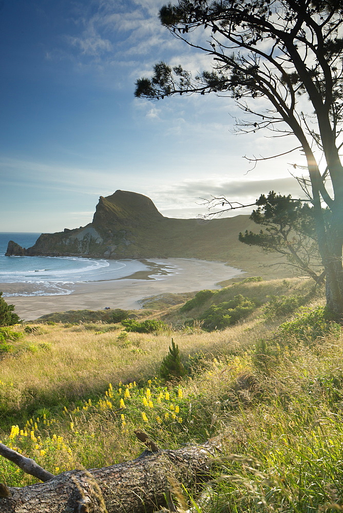 Deliverance Cove, Castlepoint, Wellington Region, North Island, New Zealand, Pacific