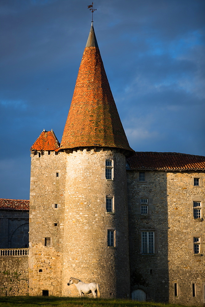 Chillac Chateau, La Charente, France, Europe