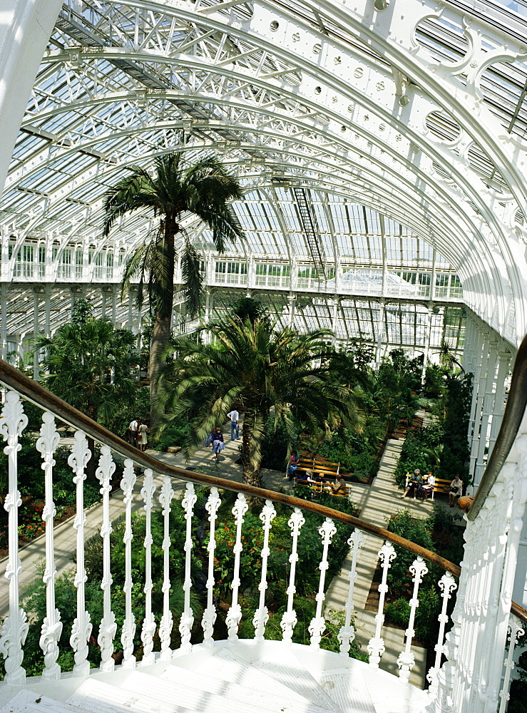 Interior of the Temperate House, restored in 1982, Kew Gardens, UNESCO World Heritage Site, Greater London, England, United Kingdom, Europe