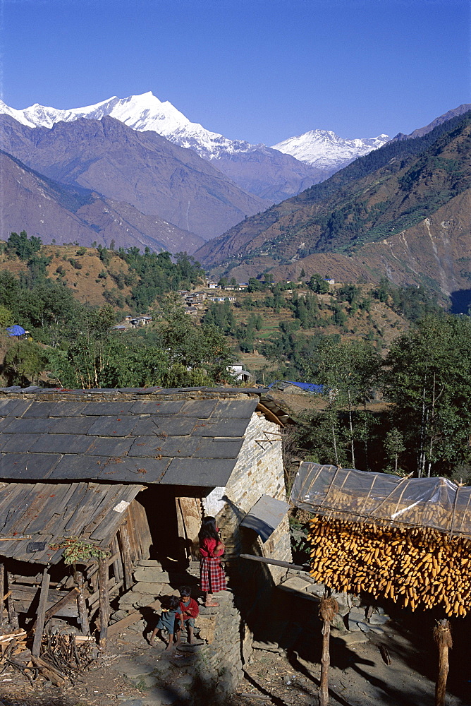 Corn hanging to dry outside village house, Sikha village, and view looking north between Tatopani and Ghorepani on the Jomsom (Jomson) Trek, north of Pokhara, Himalayas, Nepal, Asia