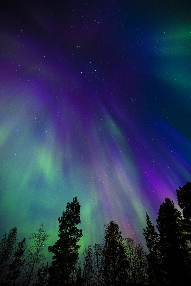 Aurora borealis, corona, Muonio, Finland, Scandinavia, Europe