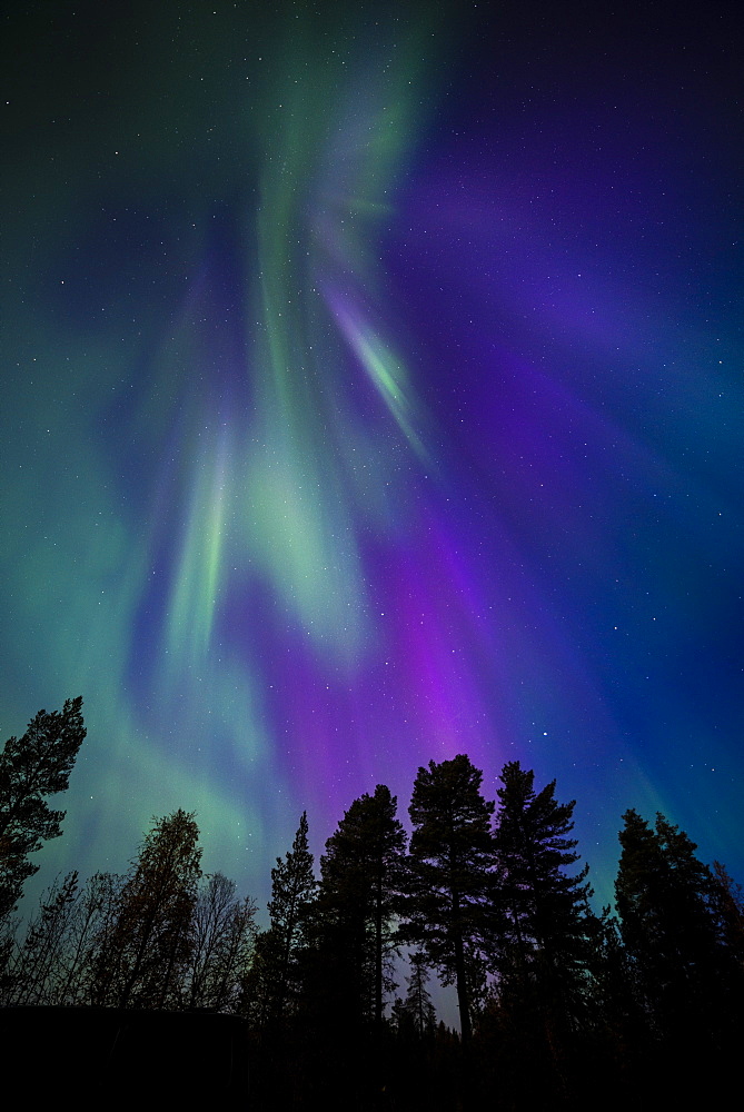 Aurora borealis, corona, Muonio, Finland, Scandinavia, Europe