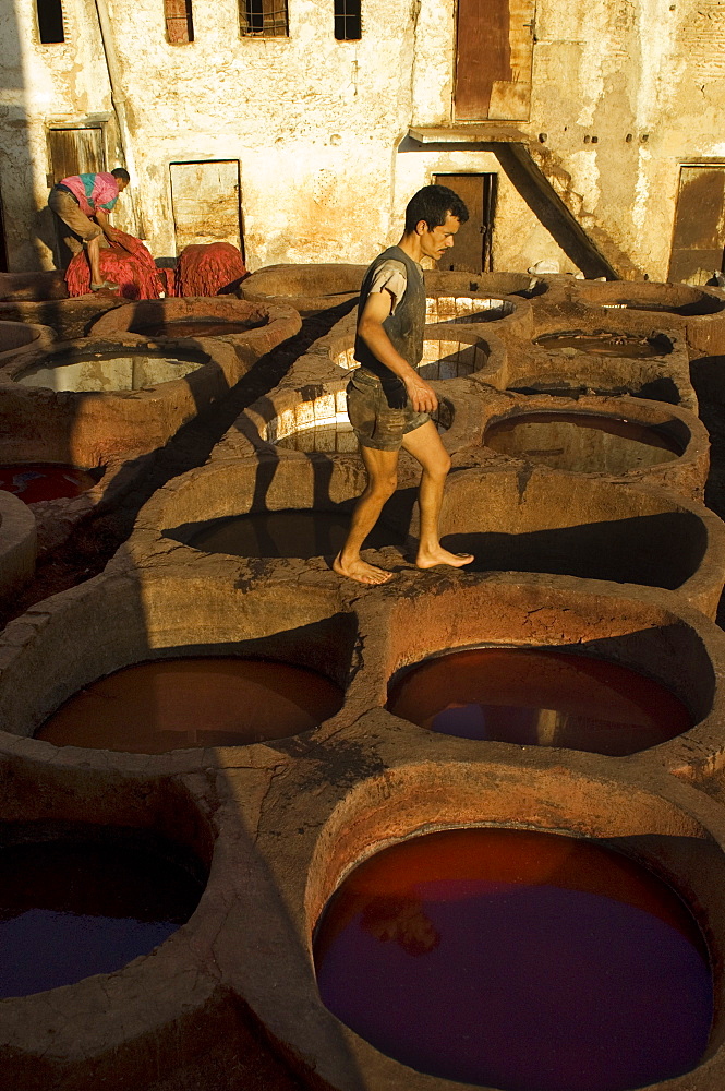 The dyeing vats at the tannery in the old town of Fes, Morocco, North Africa, Africa