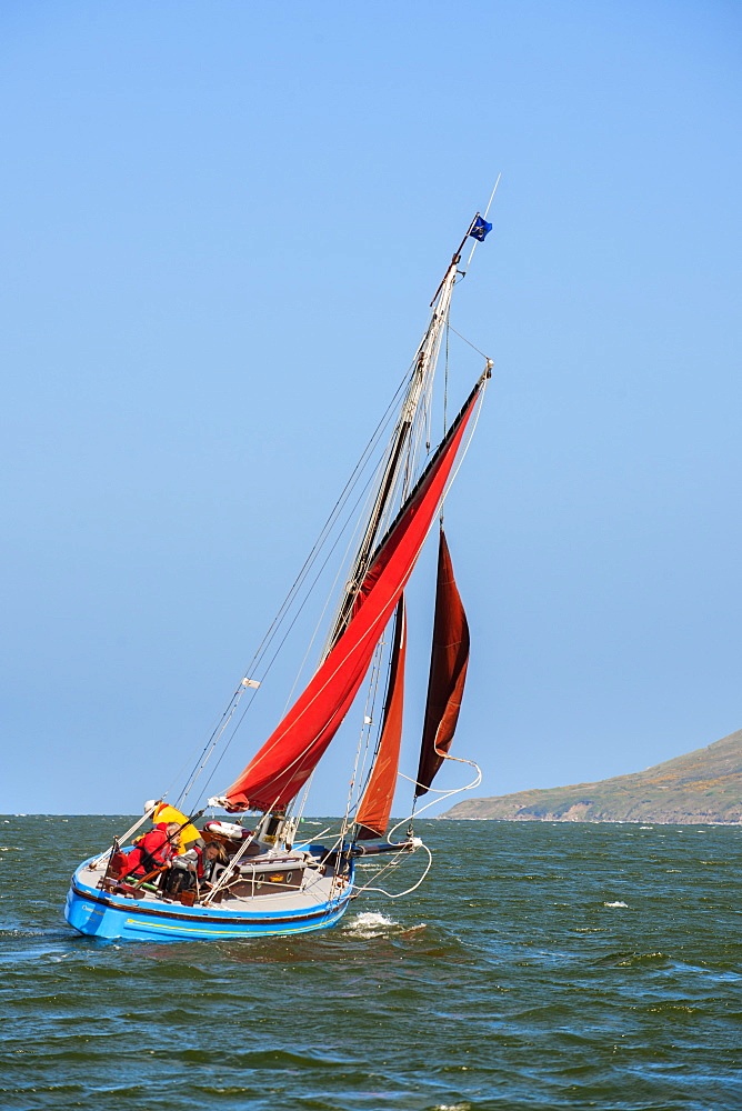 Sailing on a traditional Morecambe Bay prawn boat (prawner), United Kingdom, Europe