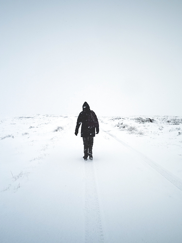 A lone woman walks through a snowstorm, Scotland, United Kingdom, Europe