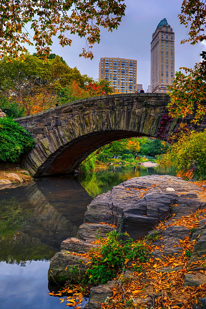 Central Park, New York City, United States of America, North America