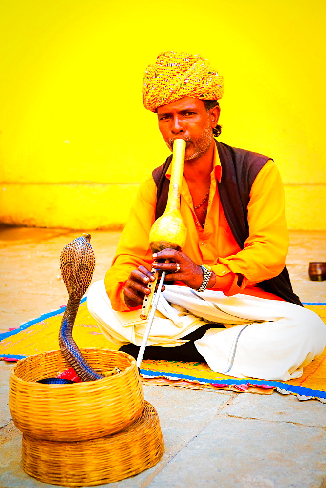 Snake charmer, Old Delhi, India, Asia