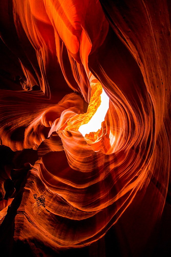 Sandstone sculpted walls, Upper Antelope Canyon, Arizona, United States of America, North America