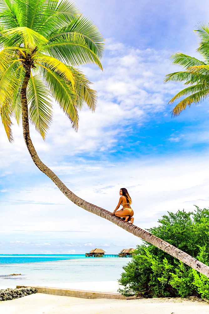 Scenic at Maldivesi Island with model, Maldives, Indian Ocean, Asia