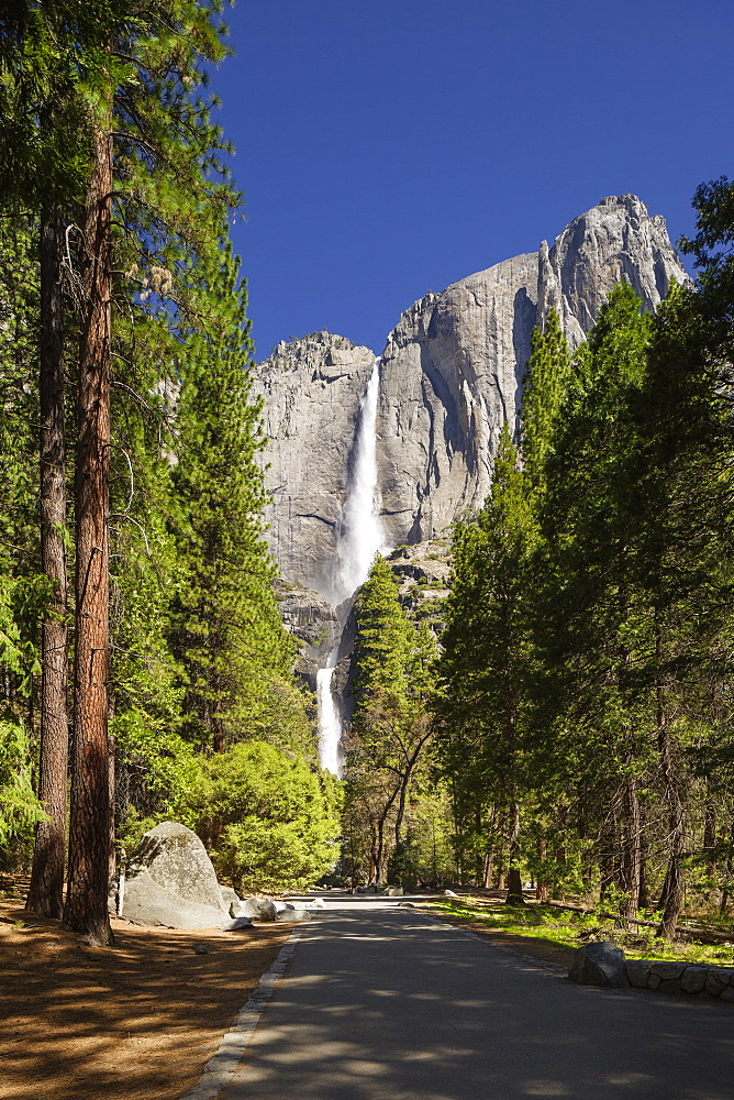 Yosemite Falls in full flow during spring in Yosemite National Park, UNESCO World Heritage Site, California, United States of America, North America