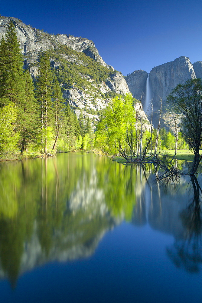 Yosemite Falls and Merced River in spring, Yosemite National Park, UNESCO World Heritage Site, California, United States of America, North America