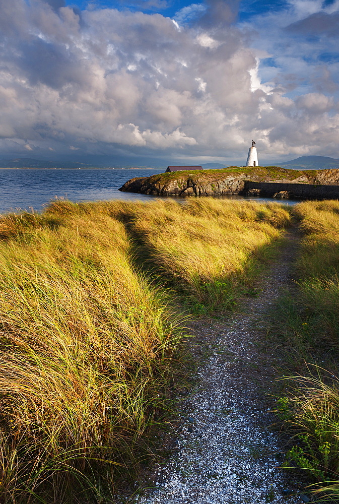 A coastal path leading to Twr Mawr lighthouse on Llanddwyn Island, Anglesey, Wales, United Kingdom, Europe