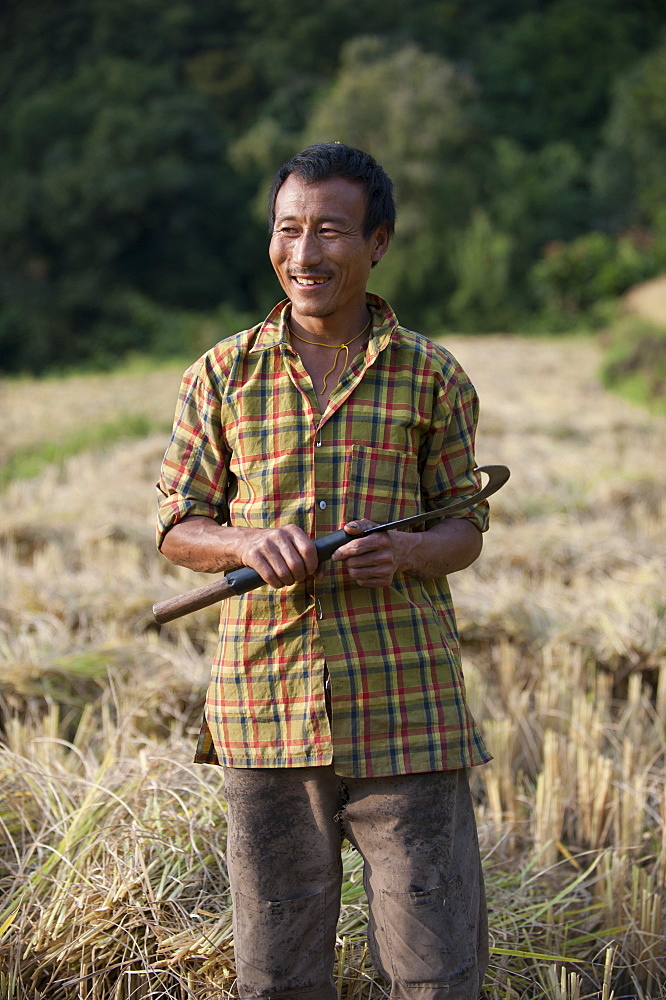 A man harvests rice with a sickle near Mongar in east Bhutan, Asia