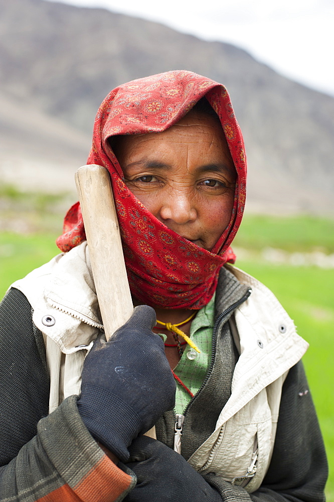 A Ladakhi farmer from the Nubra Valley, Ladakh, India, Asia