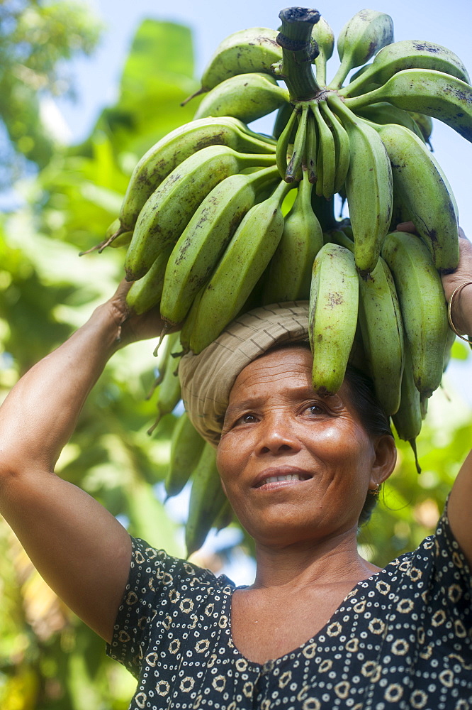 A woman carries freshly harvested bananas on her head, Chittagong Hill Tracts, Bangladesh, Asia