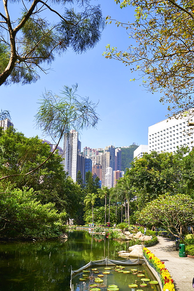 Hong Kong Park in Central, Hong Kong Island, Hong Kong, China, Asia