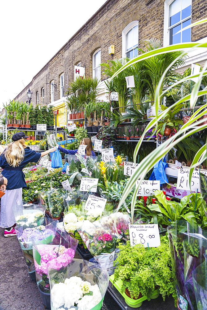 Columbia Road Flower Market, a very popular Sunday market between Hoxton and Bethnal Green in East London, London, England, United Kingdom, Europe