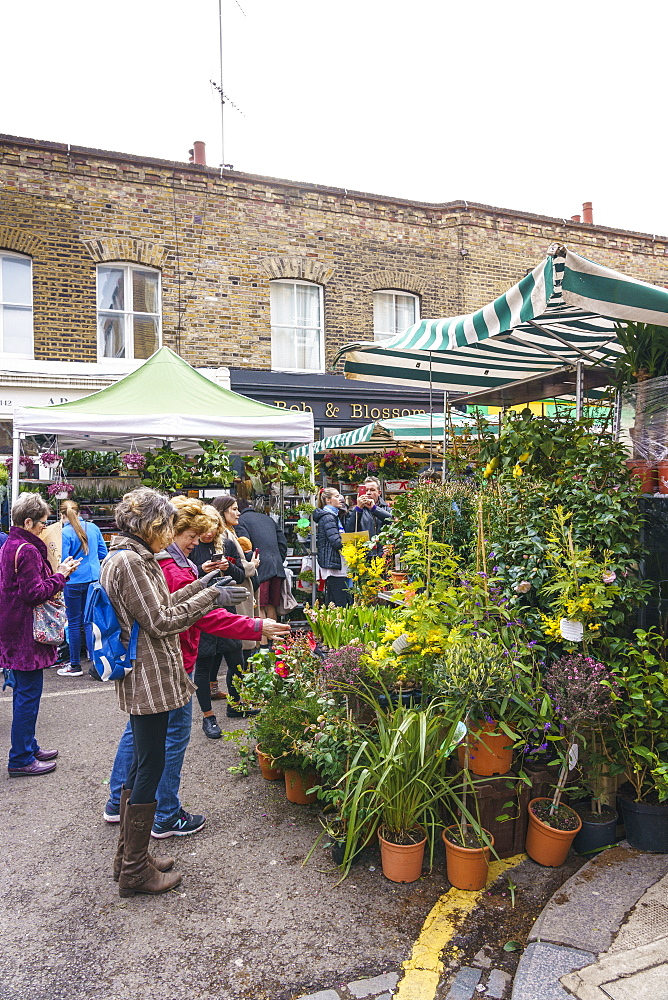 Columbia Road Flower Market, a very popular Sunday market between Hoxton and Bethnal Green in East London, London, England, United Kingdom, Europe