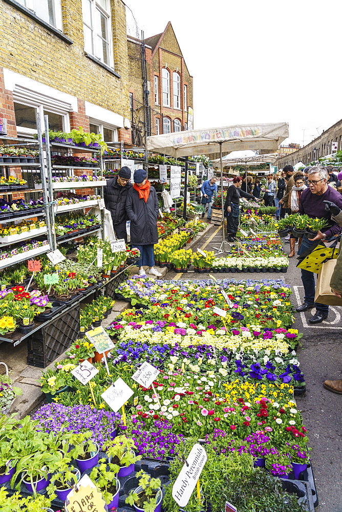 Columbia Road Flower Market, a very popular Sunday market between Hoxton and Bethnal Green in East London, London, England, United Kingdom, Europe