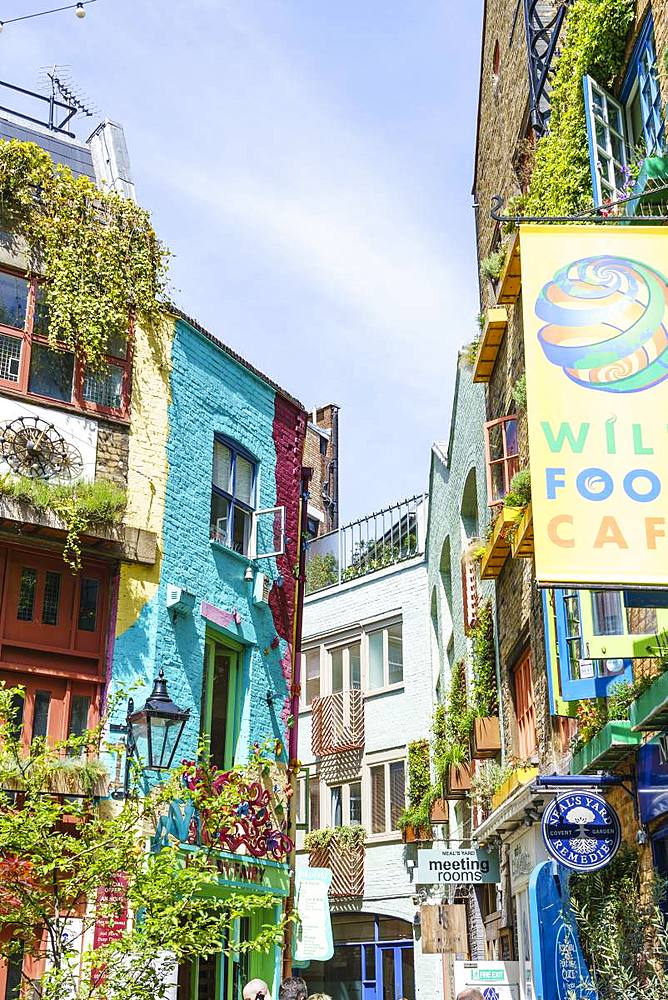 Neal's Yard, Covent Garden, London, England, United Kingdom, Europe