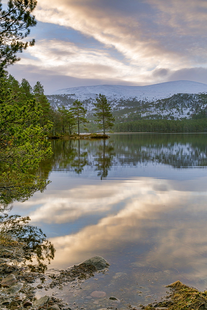 Crystal clear water and pine trees reflected in Loch an Eilein, The Cairngorms, Scotland, United Kingdom, Europe