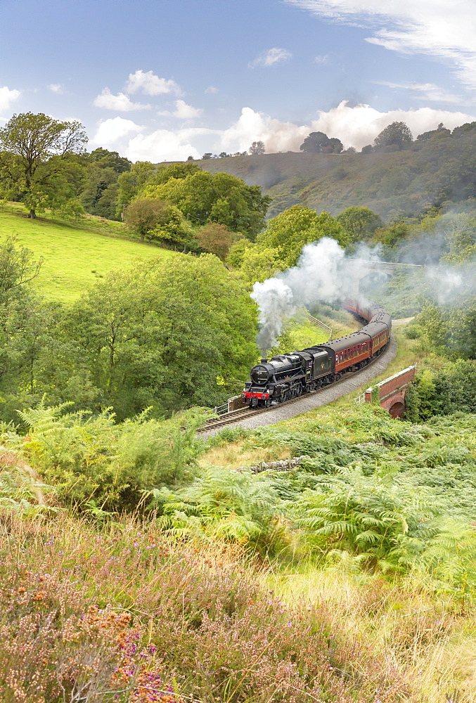 A steam locomotive approaching Goathland from Grosmont in September 2016, North Yorkshire, Yorkshire, England, United Kingdom, Europe