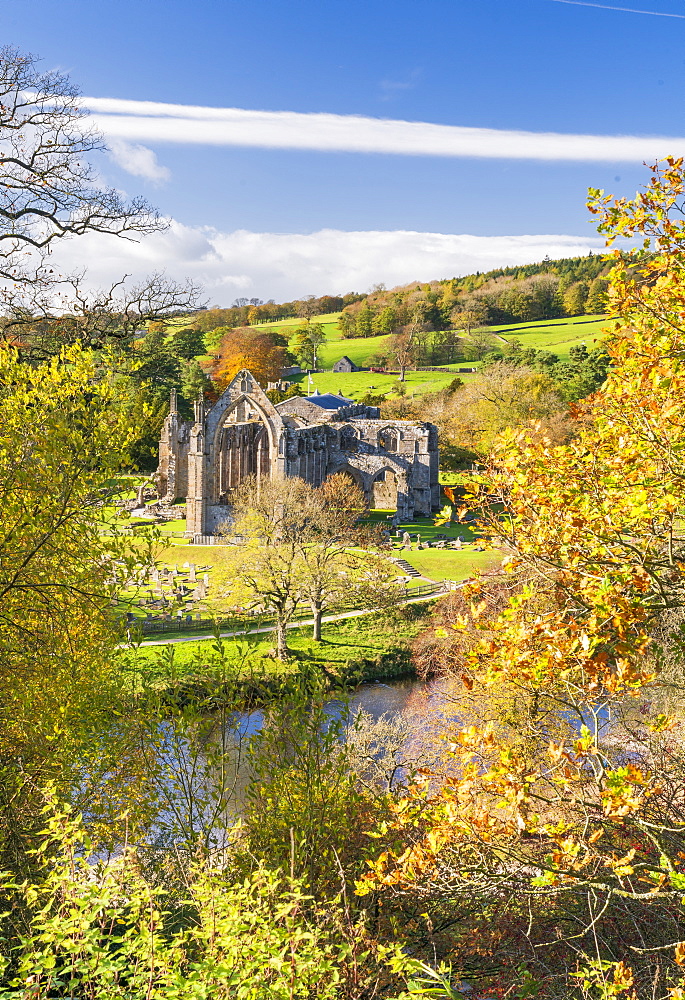 Bolton Abbey and the River Wharfe, in Lower Wharfedale, The Yorkshire Dales National Park, Enhland, United Kingdom, Europe