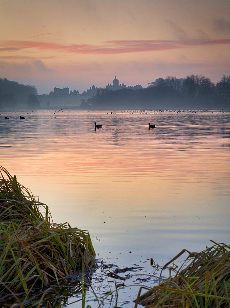 Winter sunrise over The Great Lake, Castle Howard Estate, North Yorkshire, Yorkshire, England, United Kingdom, Europe