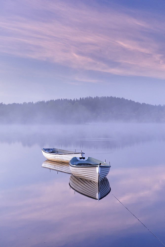 Misty daybreak over Loch Rusky in May, Aberfoyle, The Trossachs, Scotland, United Kingdom, Europe