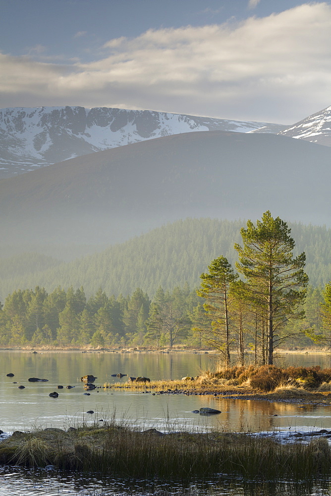 Sunrise over the Cairngorm Mountains and Loch Morlich, Scotland, United Kingdom, Europe