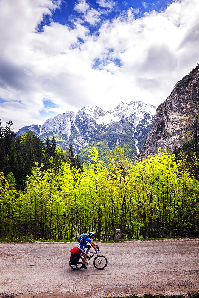 A lone cyclist travels along a mountain road with trees and the Julian Alps in the background, Slovenia, Europe