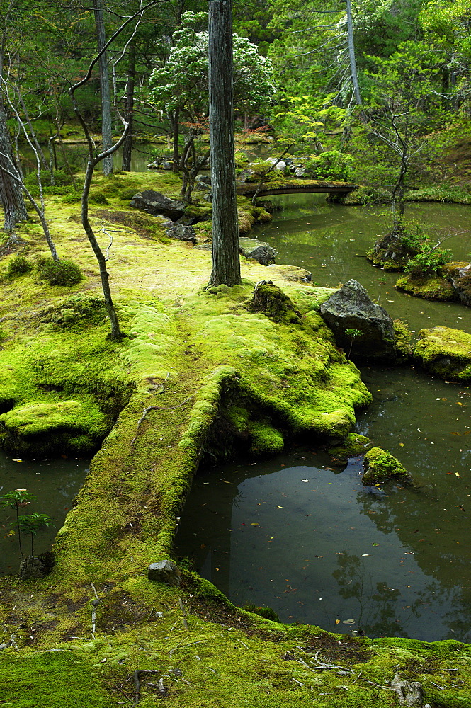 Moss-covered bridge in the garden of Saiho-ji temple, UNESCO World Heritage Site, Kyoto, Japan, Asia