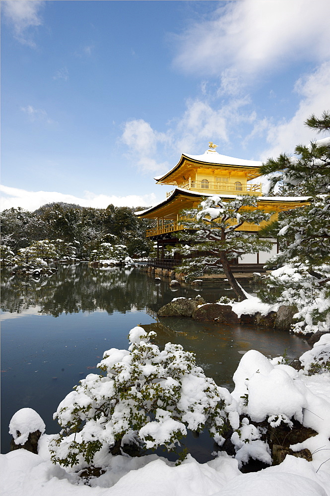 Kinkaku-ji Temple (Golden Pavilion), UNESCO World Heritage Site, in winter, Kyoto, Japan, Asia