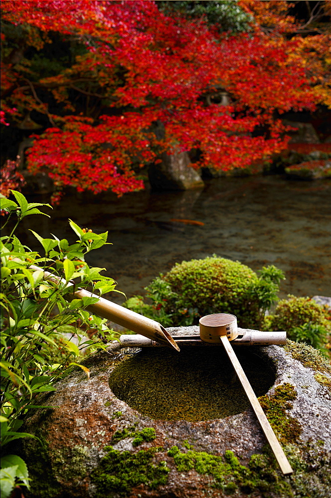 Tsukubai water basin in Renge-ji temple, Kyoto, Japan, Asia