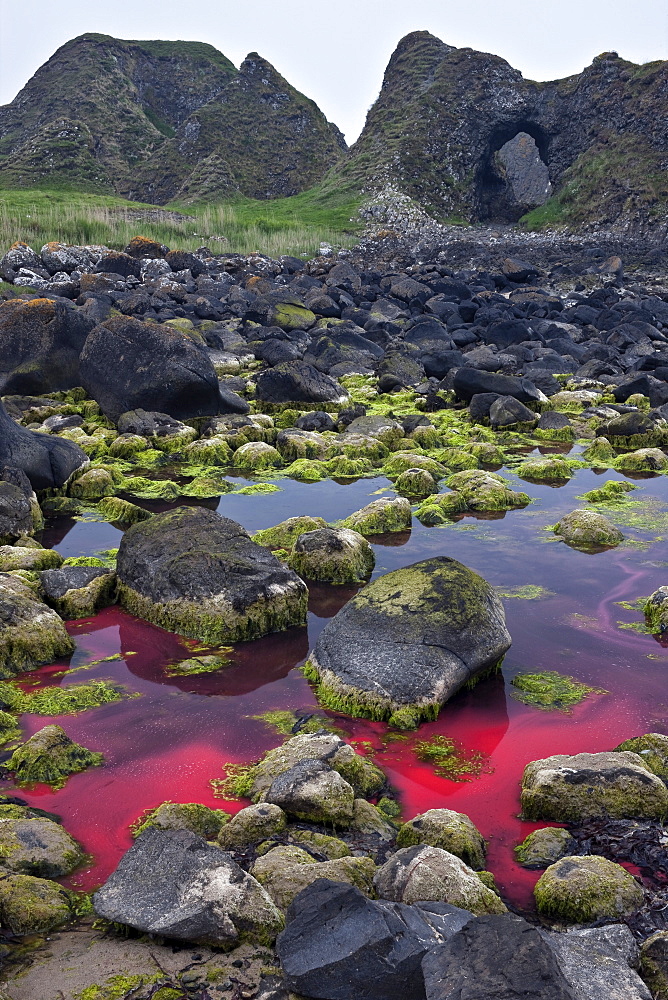 Ballintoy, County Antrim, Ulster, Northern Ireland, United Kingdom, Europe