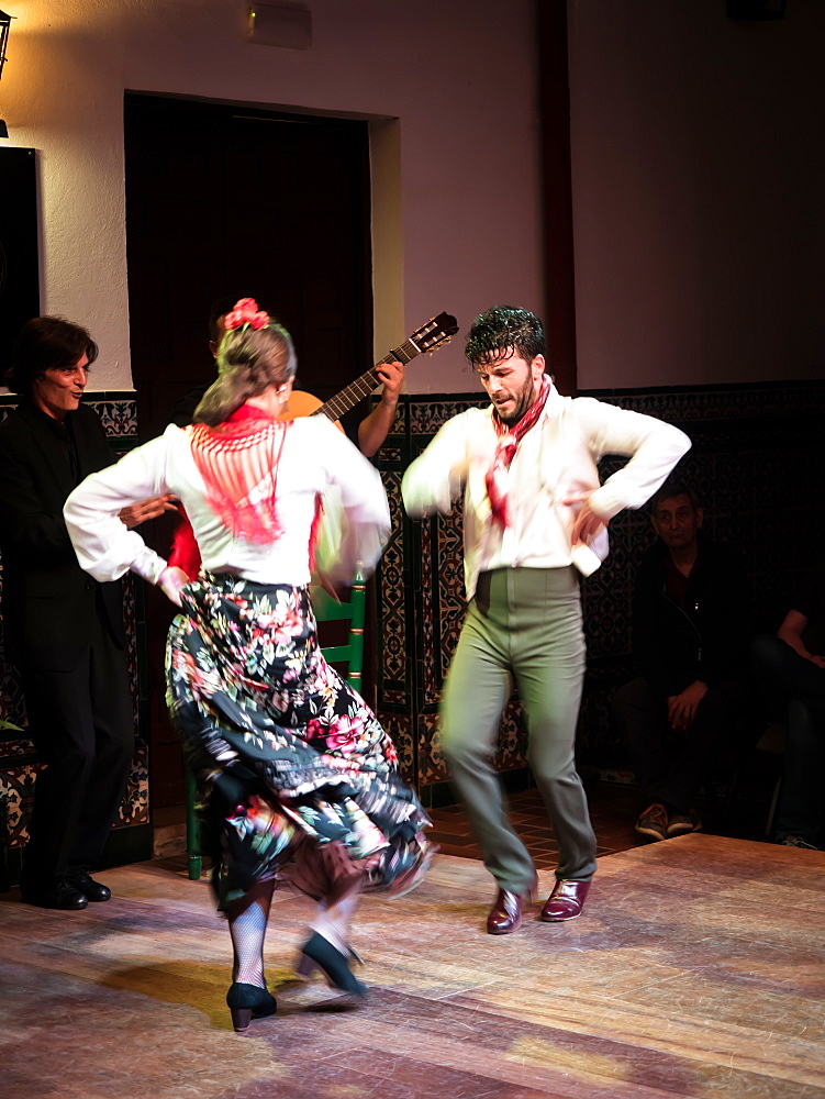 Flamenco dancers and musicians, La Casa del Flamenco, Seville (Sevilla), Andalucia, Spain, Europe