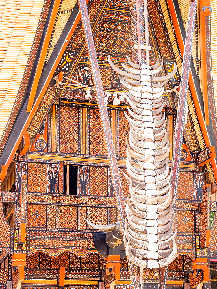 Traditional painted housefront with water buffalo horns, Tana Toraja, Sulawesi, Indonesia, Southeast Asia, Asia