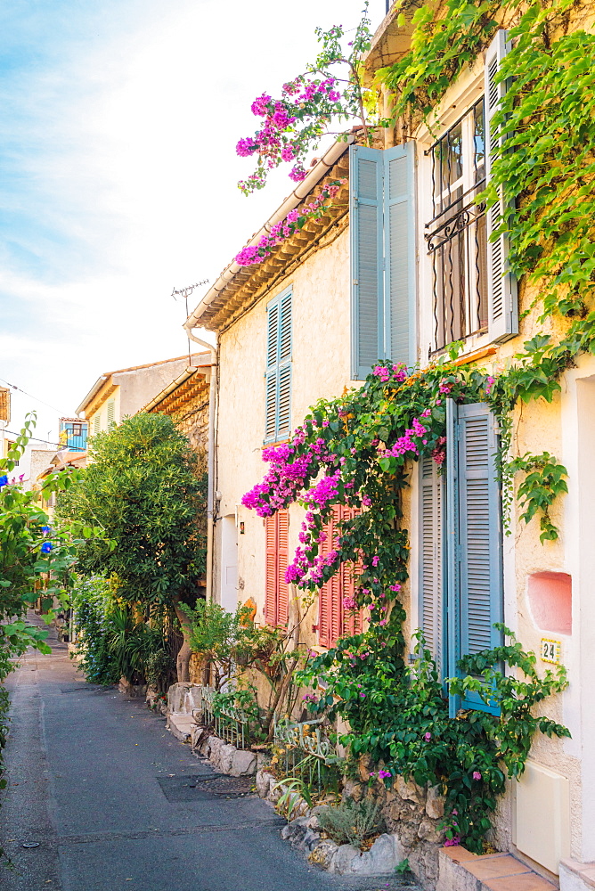 Picturesque small alleyway in Antibes, Cote d'Azur, Provence, France, Europe