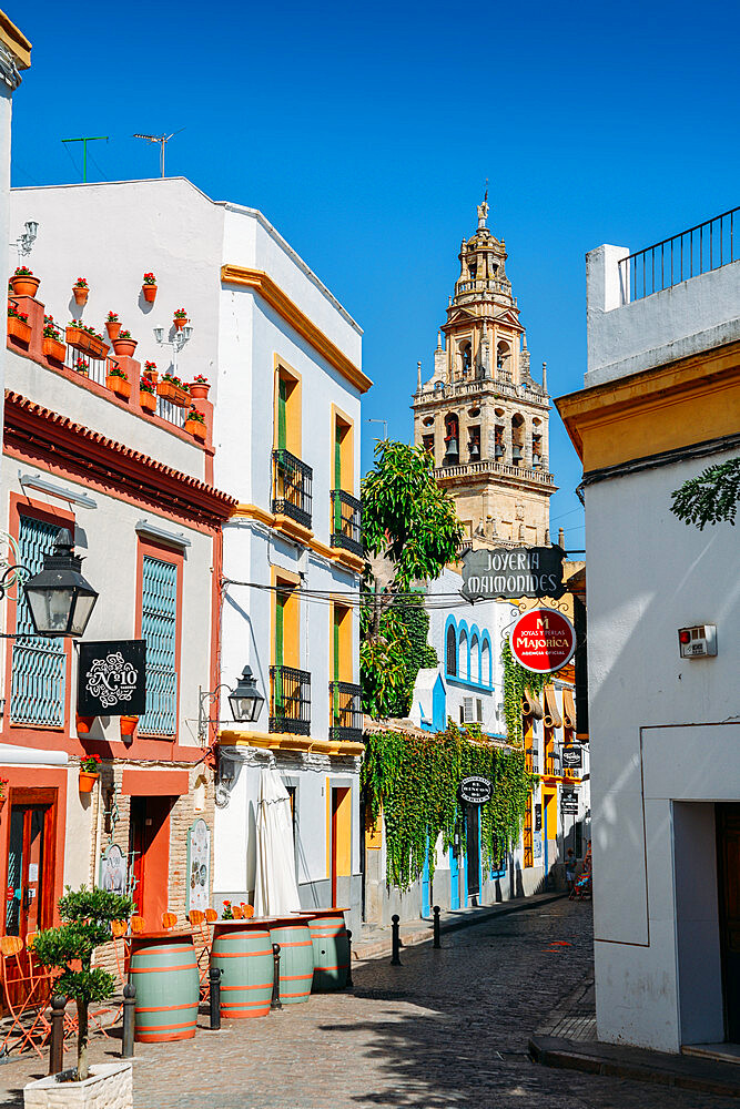 Pedestrian street in the historic centre with the Bell Tower of La Mezquita (Great Mosque) in the background, Cordoba, Andalucia, Spain, Europe