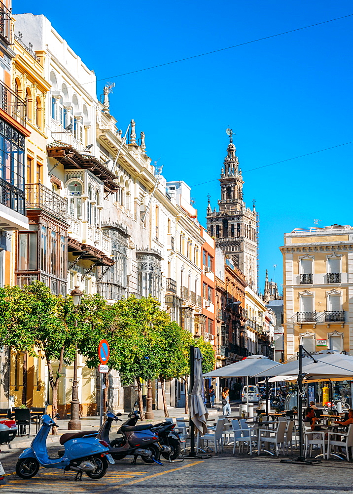 Traditional Andalusian architecture with Gothic-Moorish belltower of Seville Cathedral in background, Seville, Andalusia, Spain, Europe