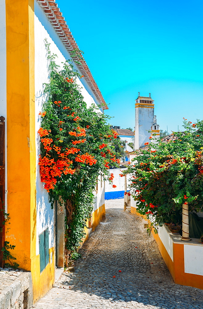 Narrow quaint streets within the ancient fortified village of Obidos, Oeste, Leiria District, Portugal, Europe