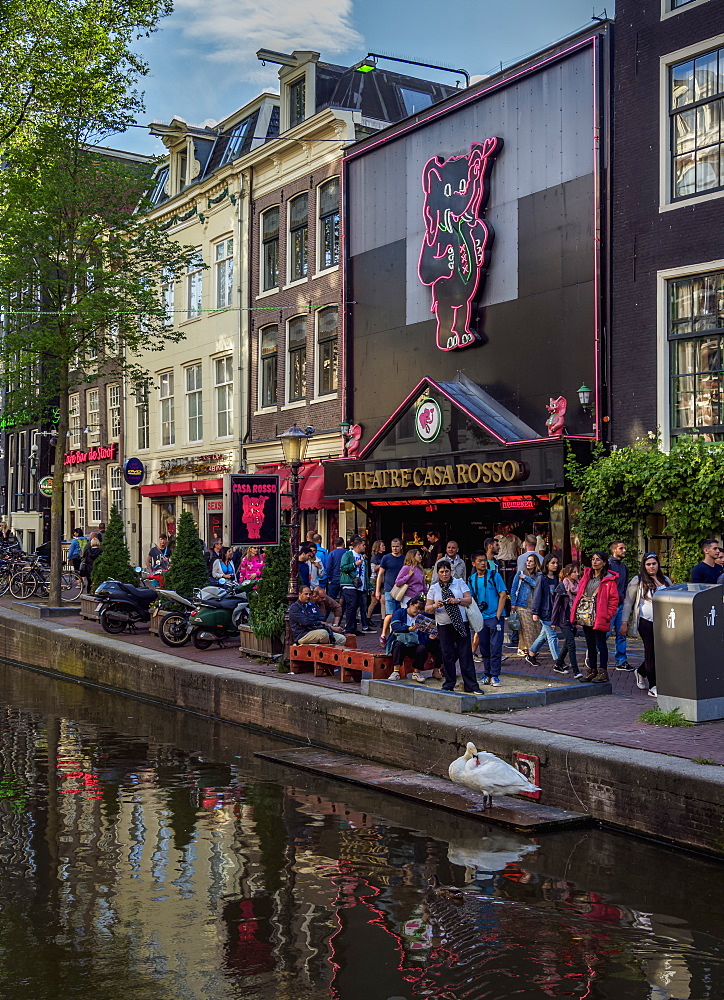 Casa Rosso Theatre, Red Light District, Oudezijds Achterburgwal Canal, De Wallen, Amsterdam, North Holland, The Netherlands, Europe