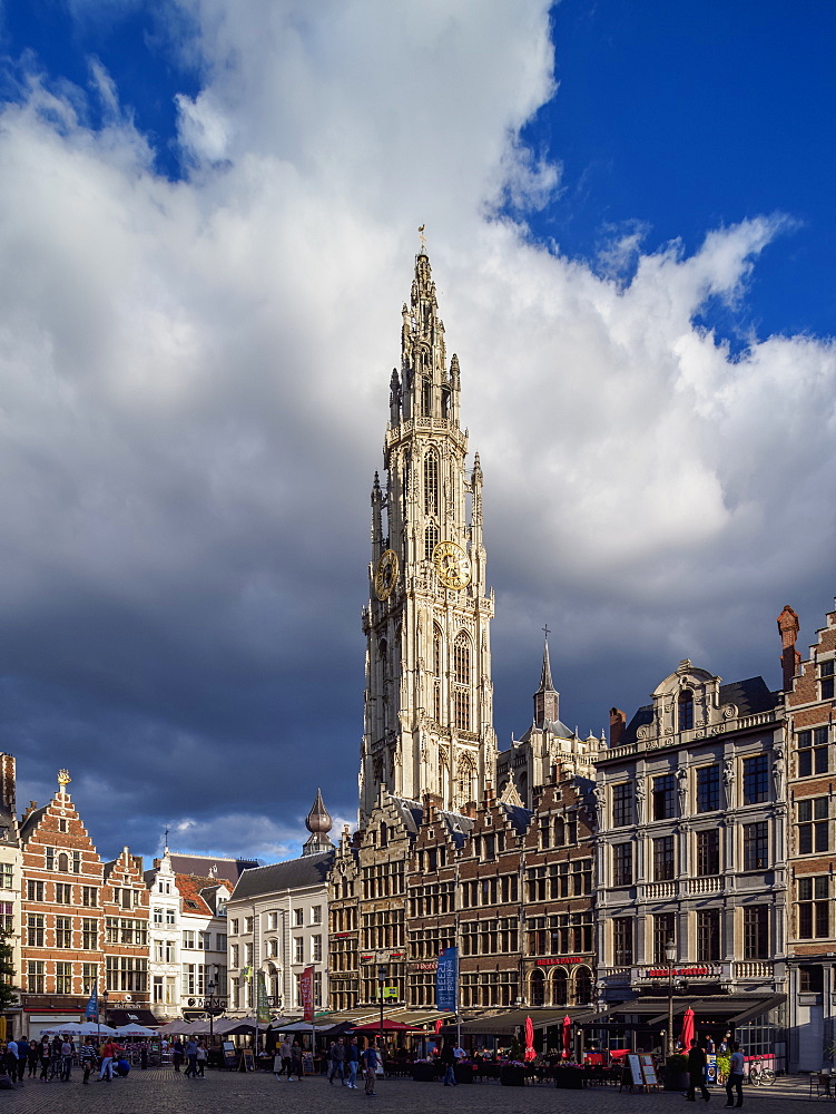 Houses on Grote Markt and Cathedral Tower, Antwerp, Belgium, Europe