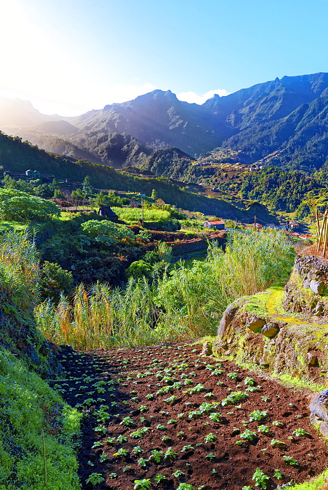 Elevated view of farmland, hills and mountains at Lameiros, near Sao Vicente, Madeira, Portugal, Atlantic, Europe 