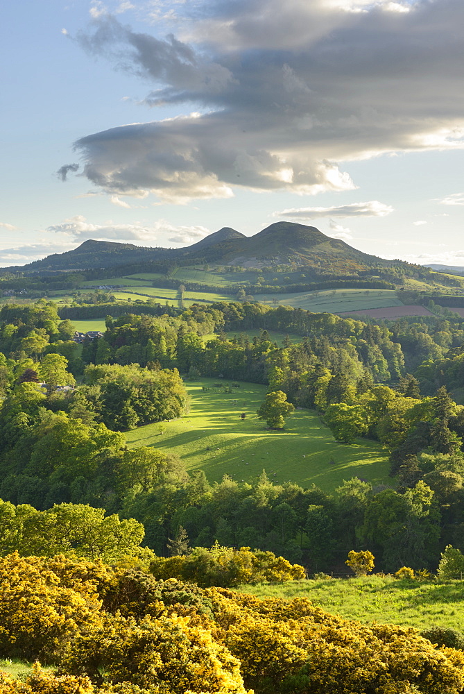 The Eildon Hills in the Scottish Borders, photographed from Scott's View at Bemersyde, Scotland, United Kingdom, Europe