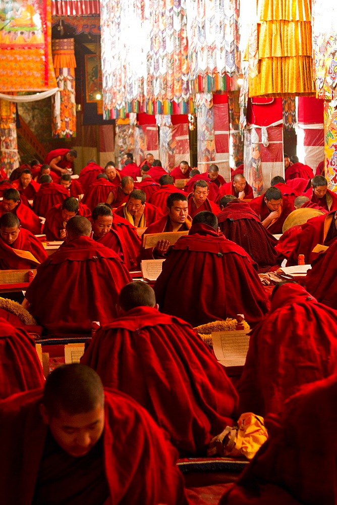 Tibetan Buddhist monks studying Buddhist scripture in Drepung Monastery, Lhasa, Tibet, China, Asia