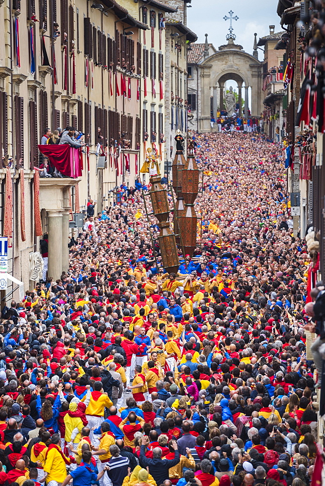 Ceri Festival, Race of Ceri in the town, Gubbio, Umbria, Italy, Europe