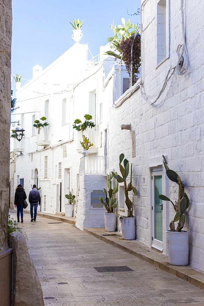 Narrow white street in the historic centre of Monopoli, Apulia, Italy, Europe