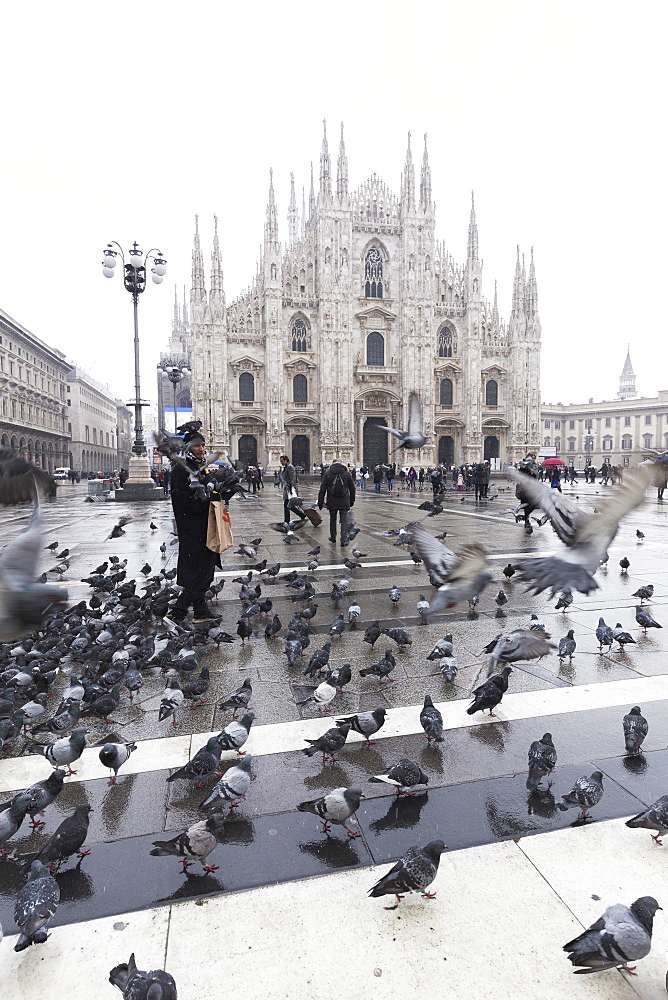 A person feeds pigeons in Piazza Duomo (Cathedral Square), Milan, Lombardy, Northern Italy, Italy, Europe